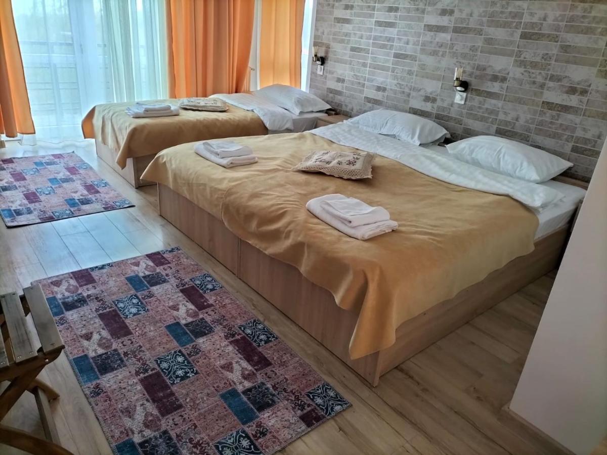 Отель Conacul Doamnei Nucsoara Экстерьер фото