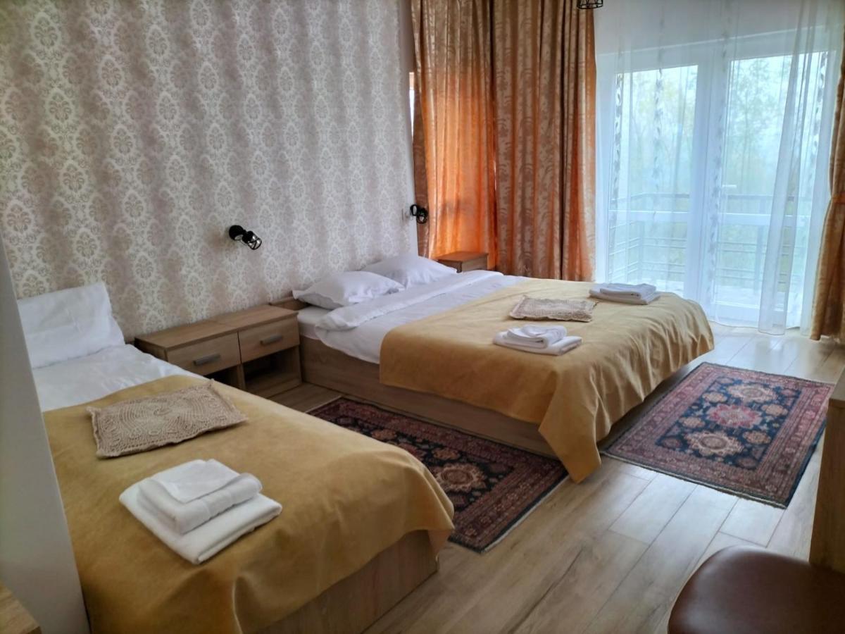 Отель Conacul Doamnei Nucsoara Экстерьер фото